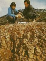 Ainsi s'eteignent les especes - Nadine Gomez et le reporter de GEO examinent un oeuf de dinosaure